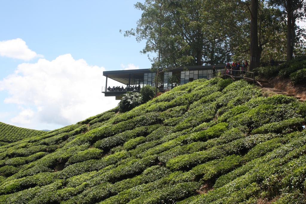 Cameron Strawberry Residence Cameron Highlands Exteriér fotografie