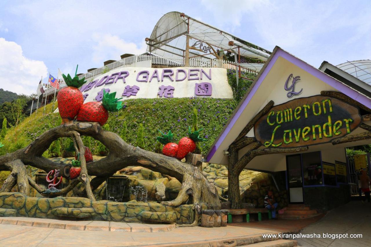 Cameron Strawberry Residence Cameron Highlands Exteriér fotografie